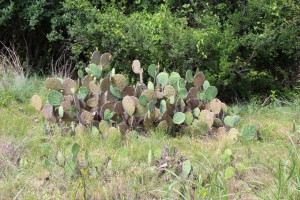 img 4636